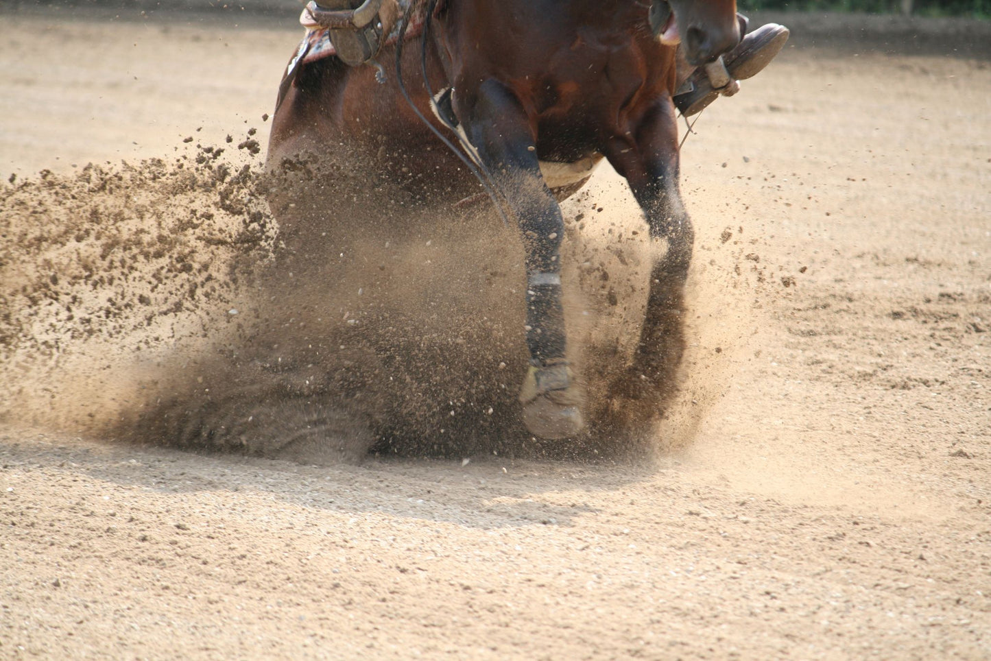 Herradura Lucky Seven de Cala #4 C/2 Pzas