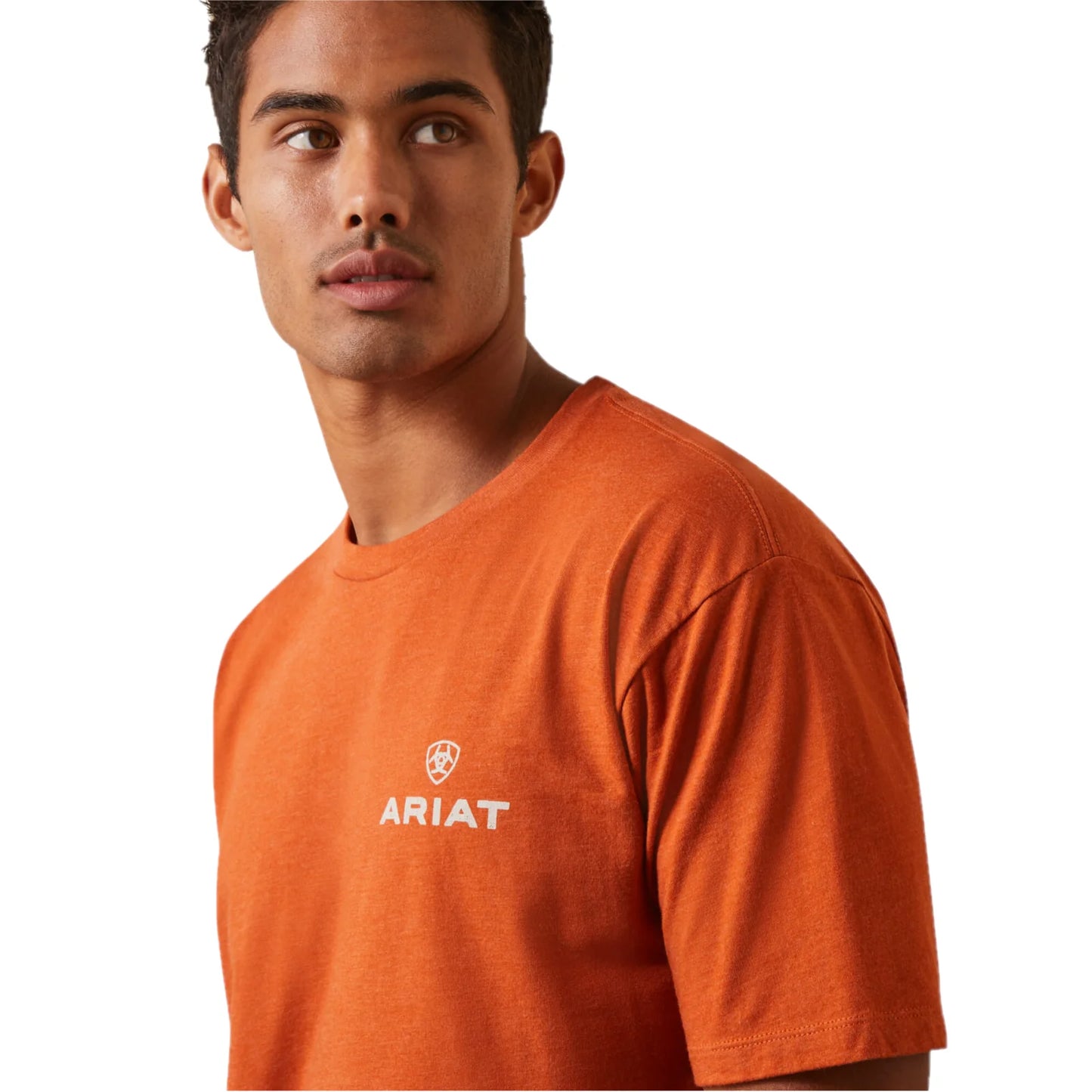 Camisa Ariat Men's Old Faithful Adobe Heather Graphic T-Shirt
