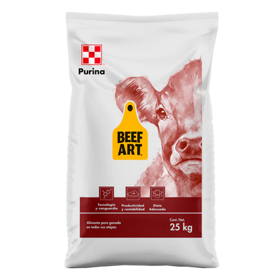 Beef Art Feedlot 14