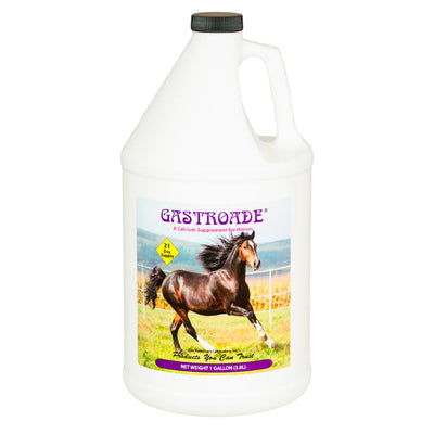 GASTROADE (GALÓN)