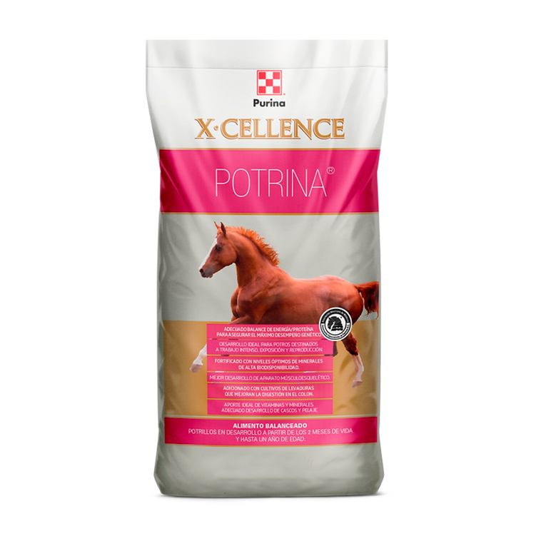 Alimento para caballos X-Cellence Potrina 25 Kg.