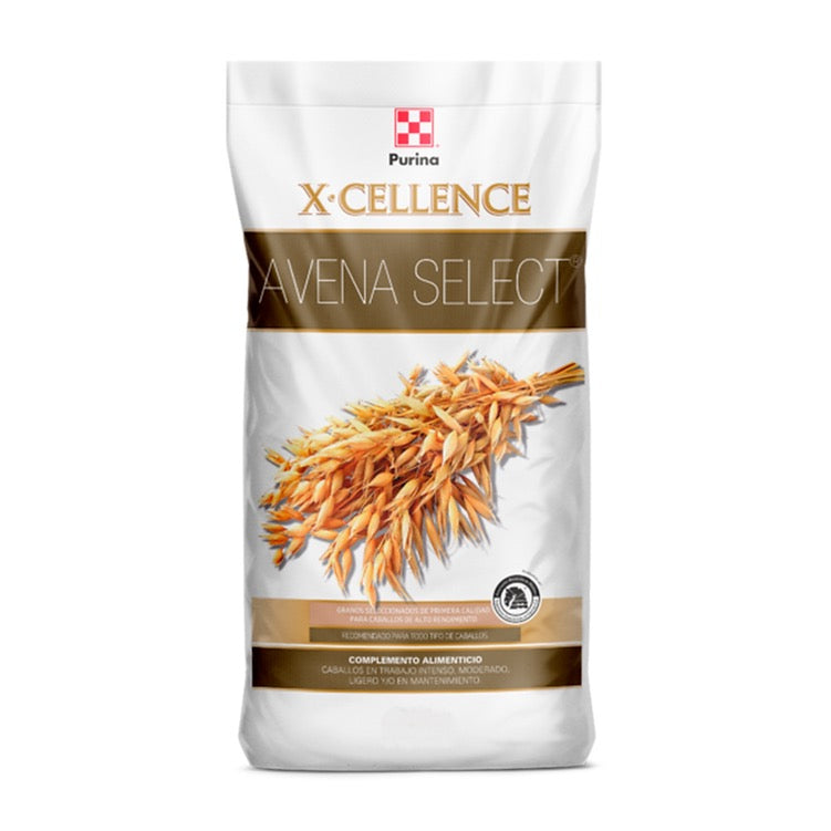 X-Cellence Avena Select 25 Kg Complemento Alimenticio