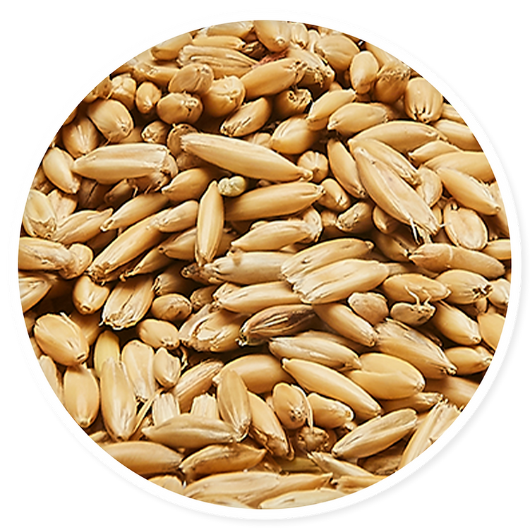 X-Cellence Avena Select 25 Kg Complemento Alimenticio