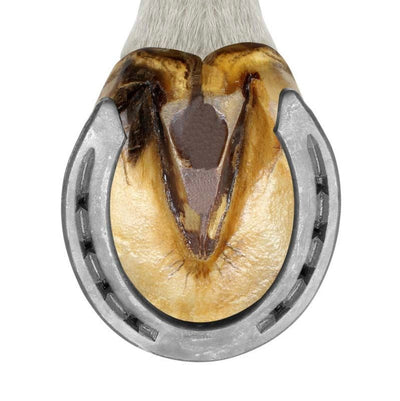 Herradura Lucky Seven #2 Mustad C/4 Pzas