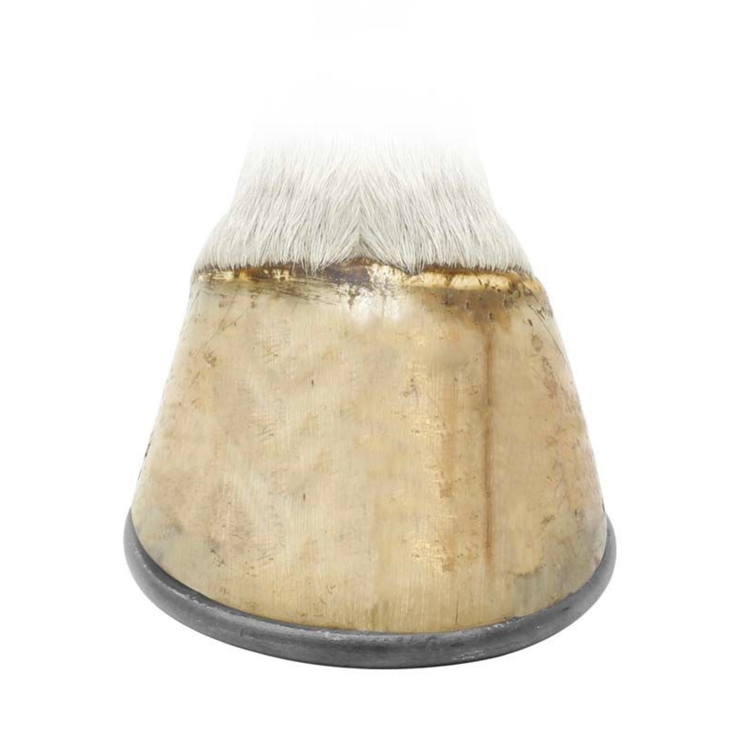 Herradura Lucky Seven #2 Mustad C/4 Pzas