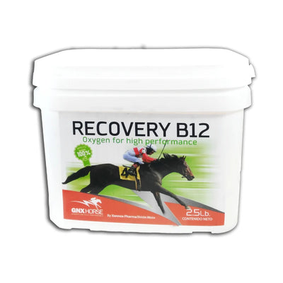 Suplemento nutricional para caballos Recovery B12 2.5 LB