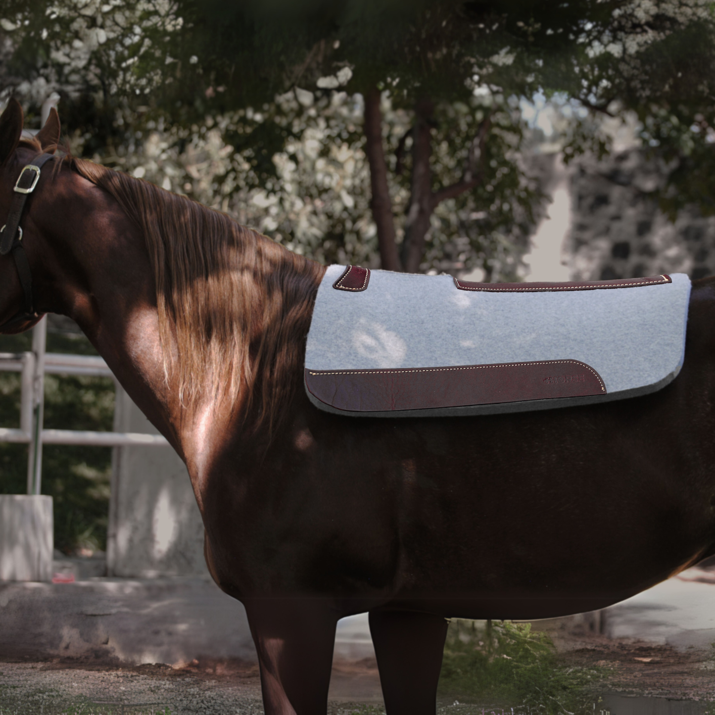 Carona cuadrada para caballo 100% Lana Natural +HORSE