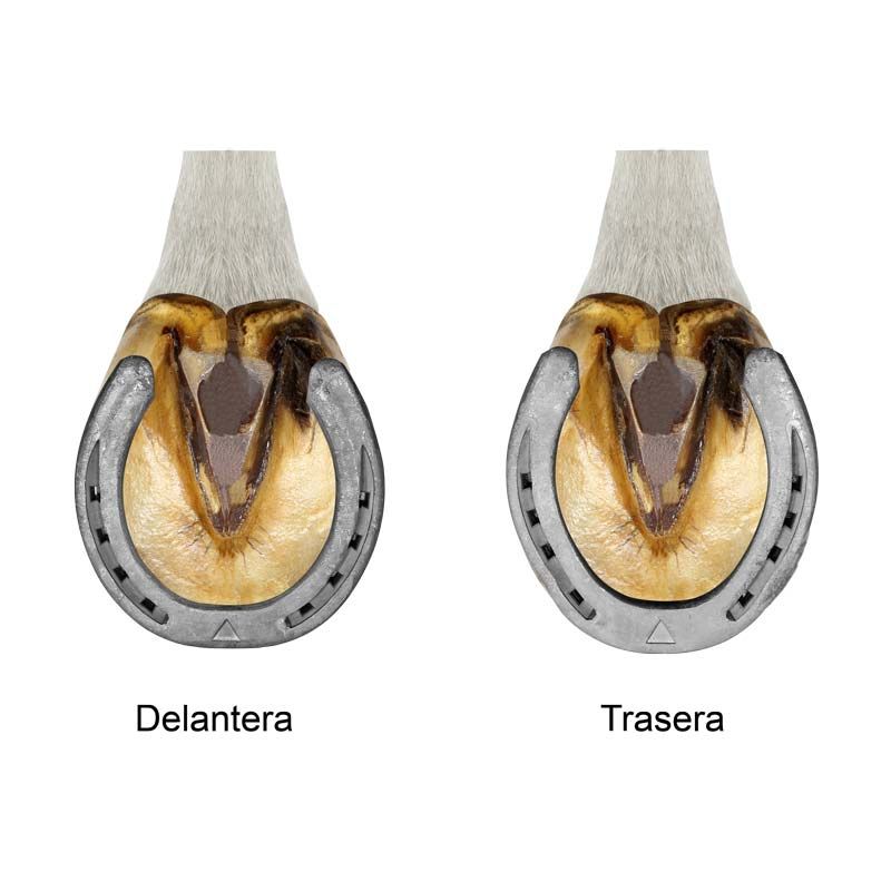Herradura para equitación #0 Delta Mustad C/4 Pzas