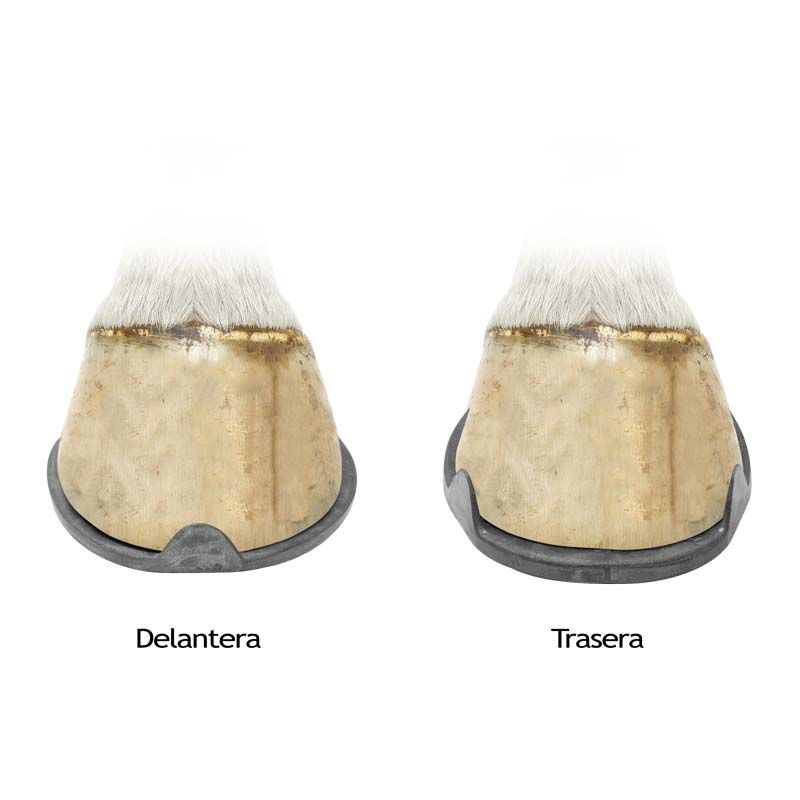Herradura para equitación #0 Delta Mustad C/4 Pzas