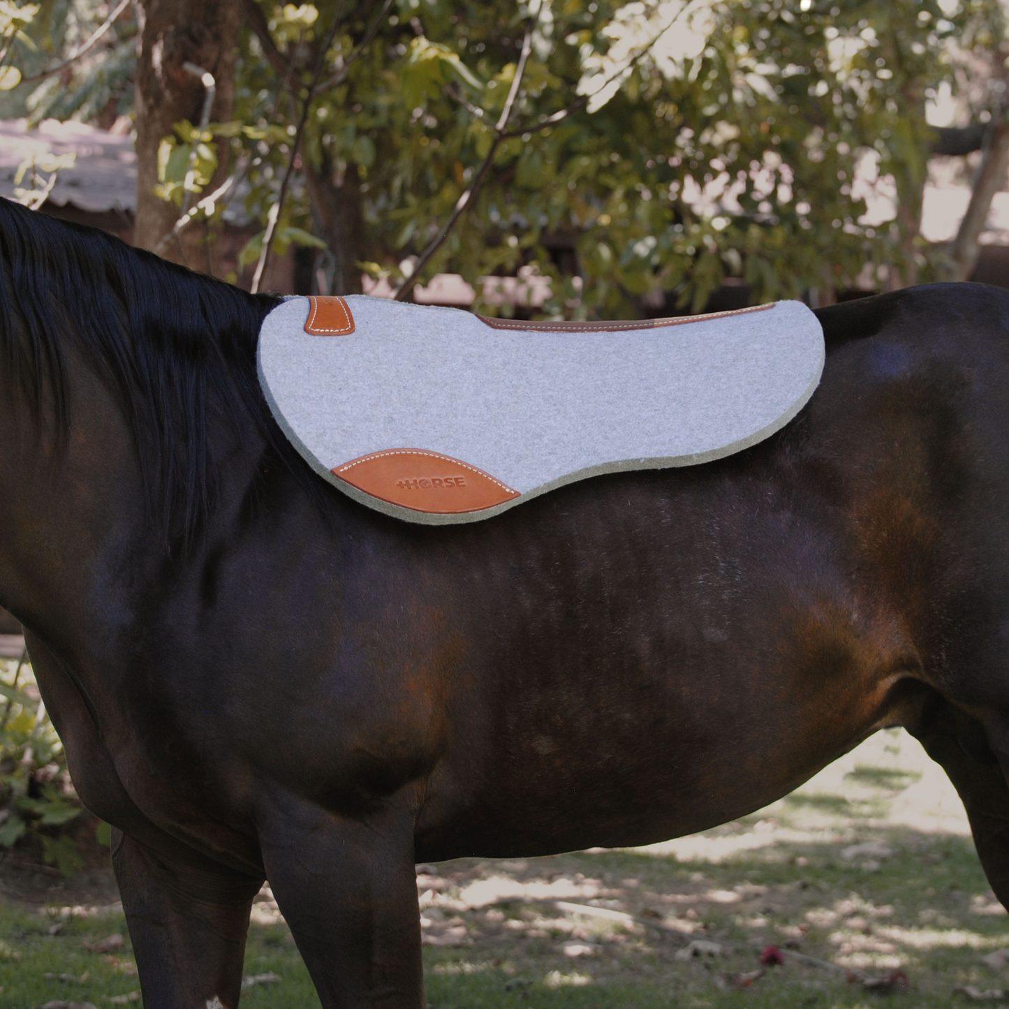 Carona de Lana 100% Natural cola de pato +HORSE