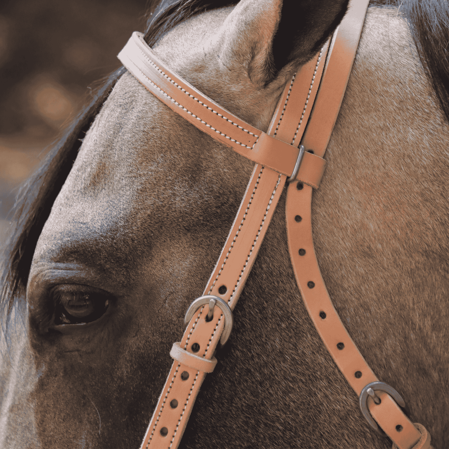 Cabezada vaquera con ahogador +HORSE