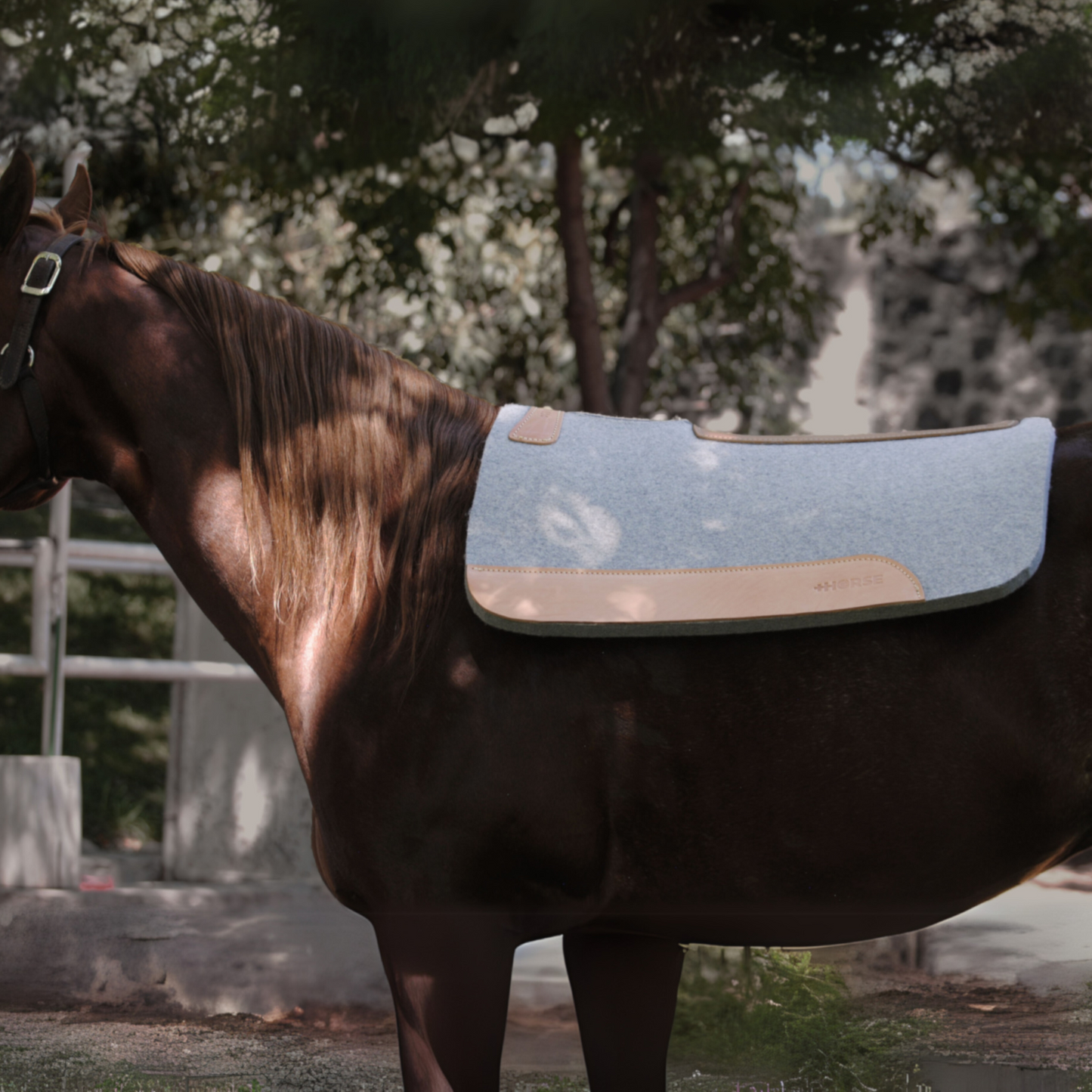 Carona cuadrada para caballo 100% Lana Natural +HORSE