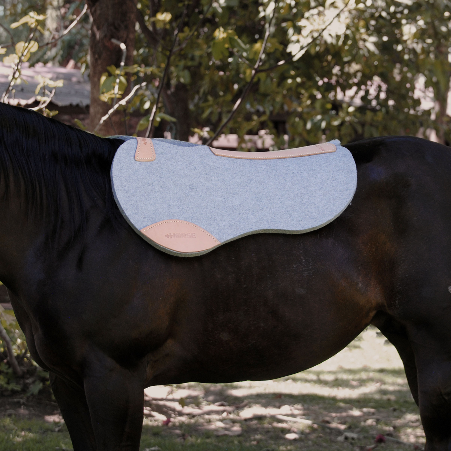 Carona de Lana 100% Natural cola de pato +HORSE