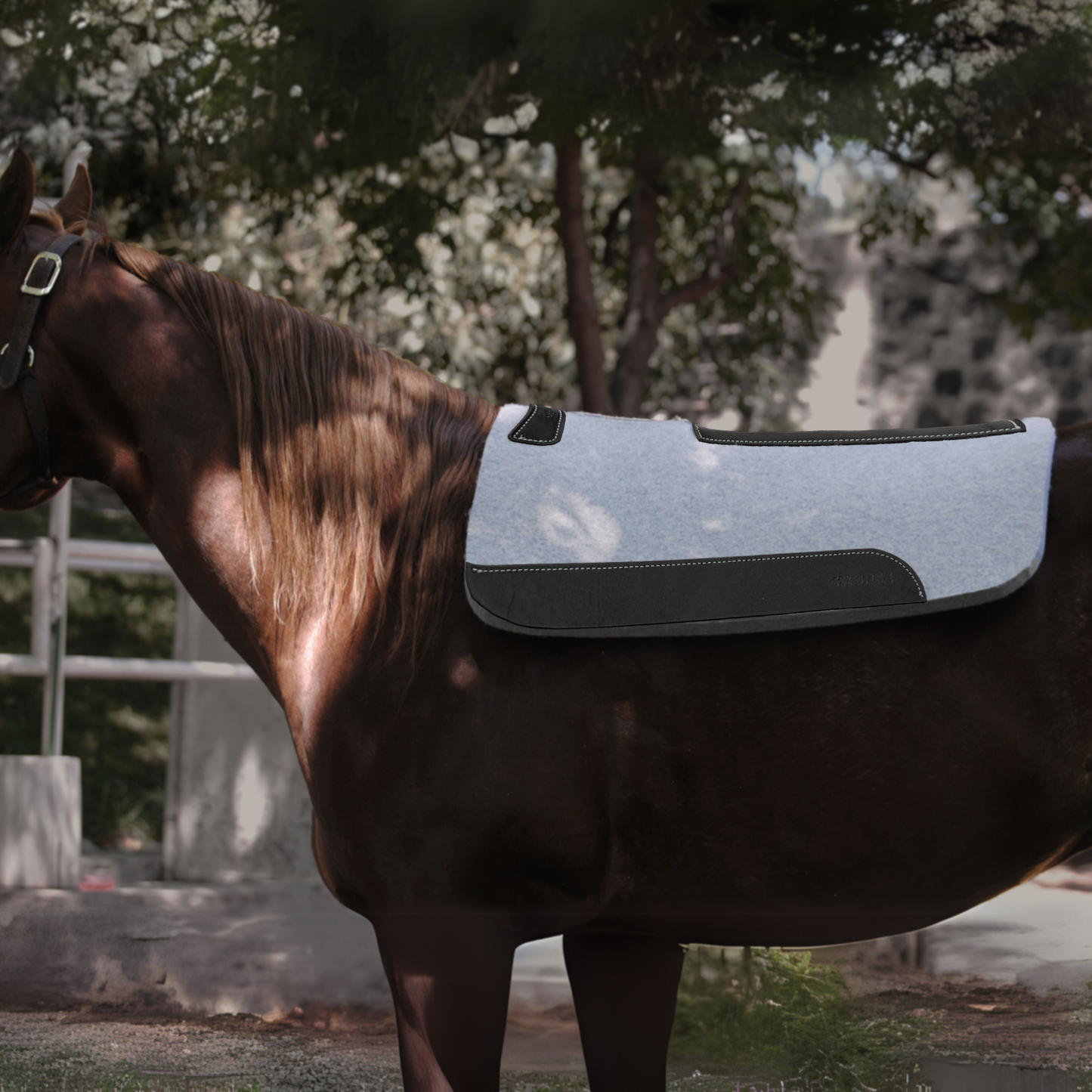 Carona cuadrada para caballo 100% Lana Natural +HORSE