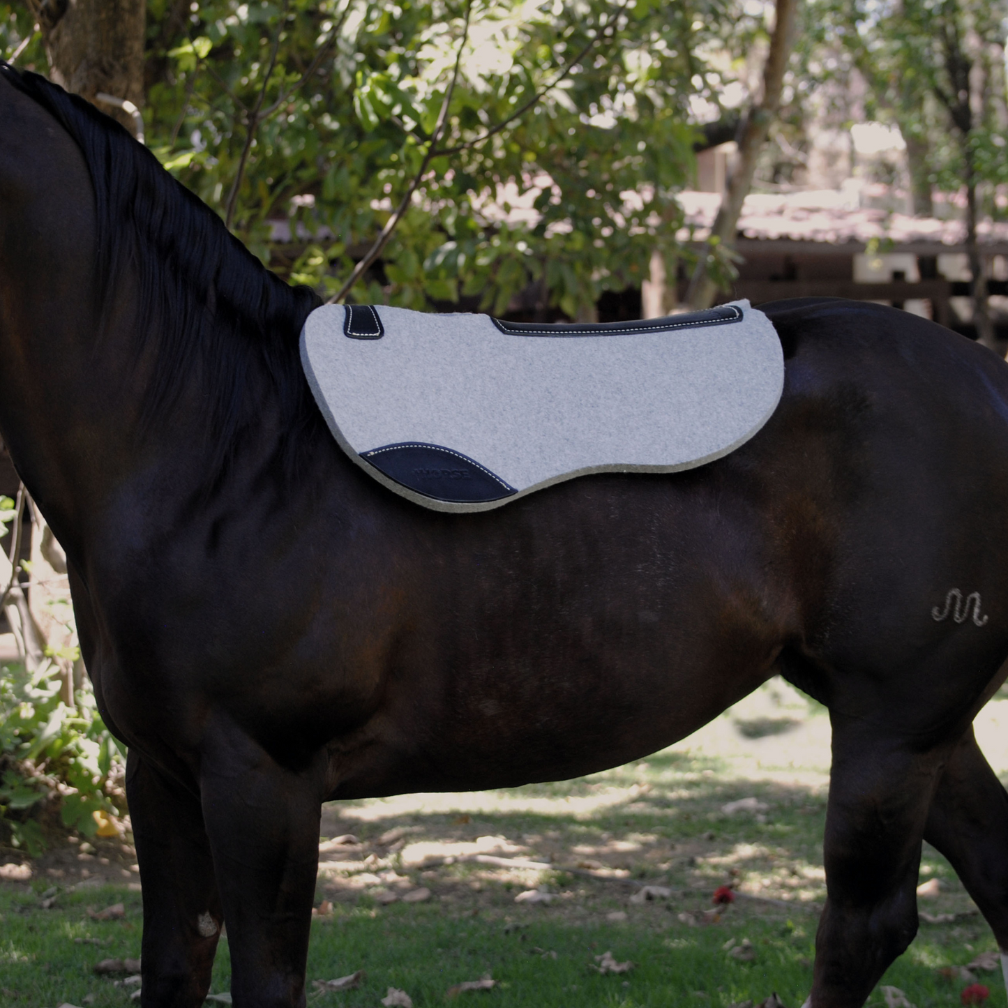 Carona de Lana 100% Natural cola de pato +HORSE