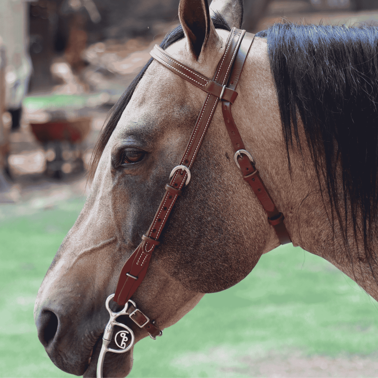 Cabezada vaquera con ahogador +HORSE
