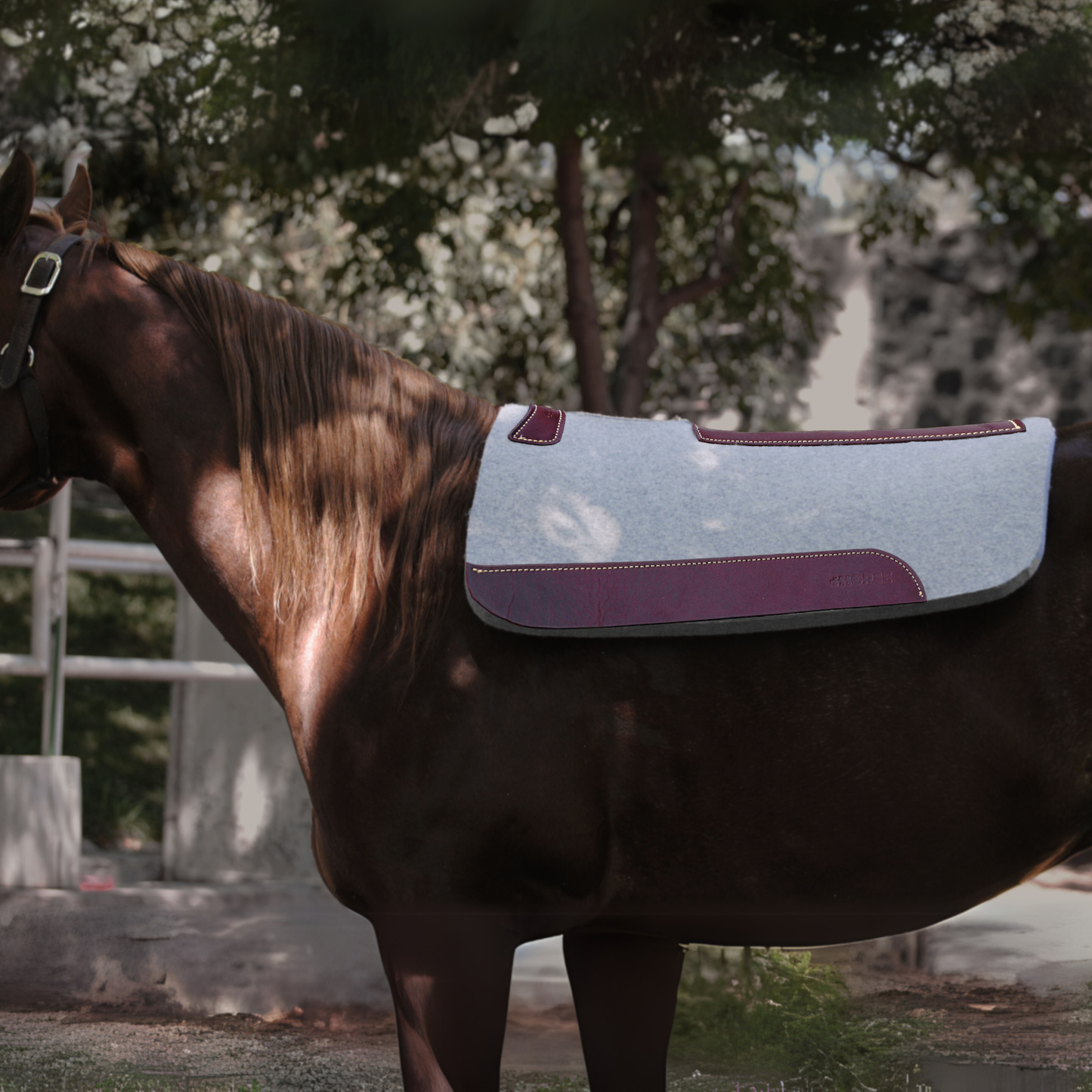 Carona cuadrada para caballo 100% Lana Natural +HORSE