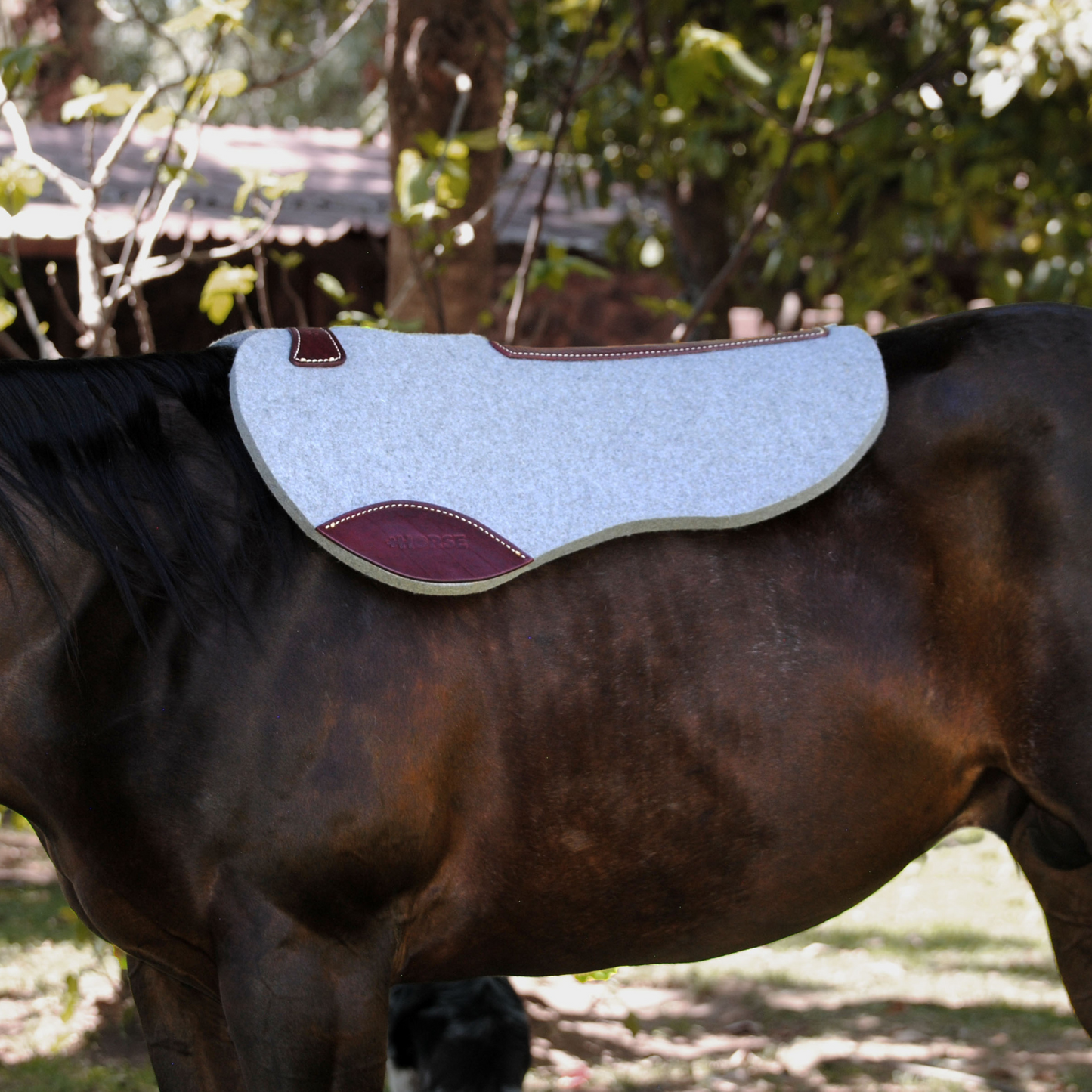 Carona de Lana 100% Natural cola de pato +HORSE