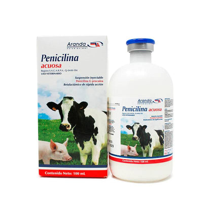 Penicilina Acuosa 100 ml