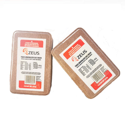 Zeus Piedra de minerales 1.8 kg