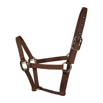 Almartigón para caballo Liso 1" 40 color Canela
