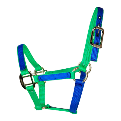 Almartigón caballo 3/4" color Azul y Verde