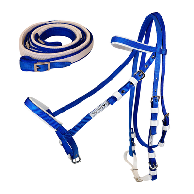 Brida caballo para carrera de Nylon color Azul y Blanco