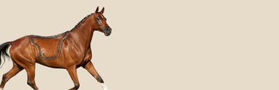 Accesorios caballos