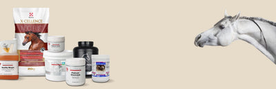 Suplementos
