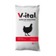Alimento para pollos V-ital Pollo Engorda