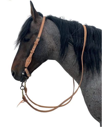 Rienda de cuero en una vuelta (sencilla) +HORSE