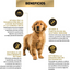 Dog Puppy Complete Optistart MB 3 Kg
