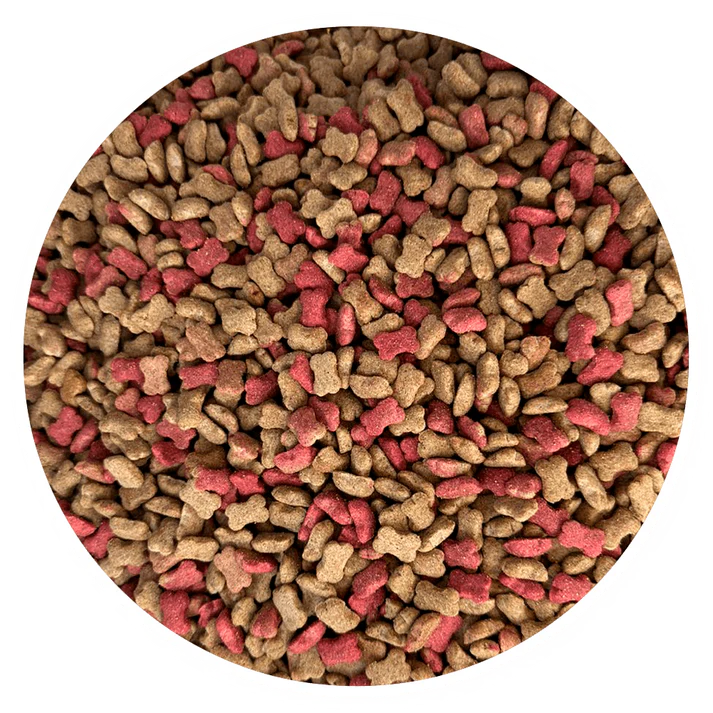 Croquetas Keycan  (25KG)