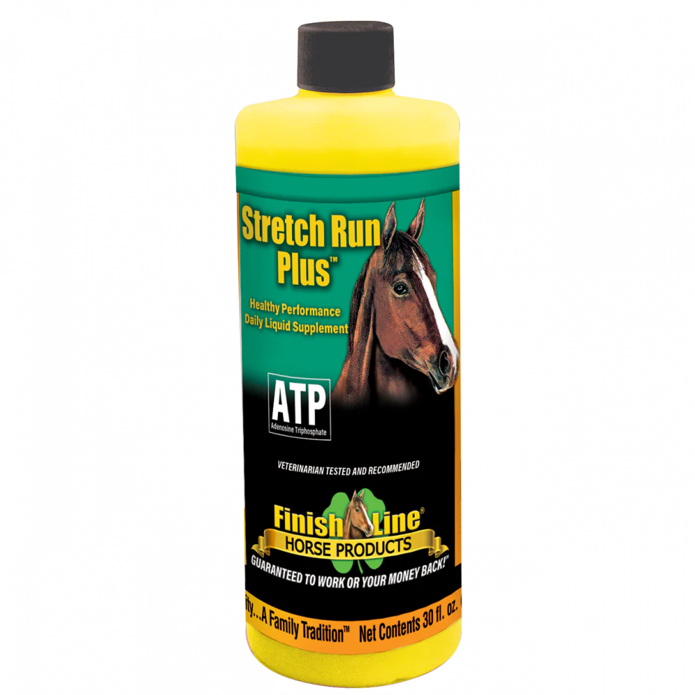 Stretch Run Plus