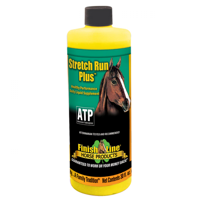Stretch Run Plus