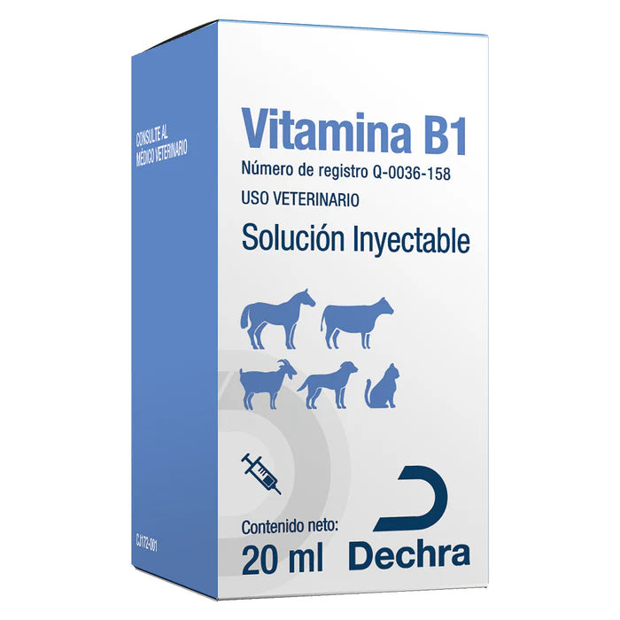 Vitamina B1 20 ML