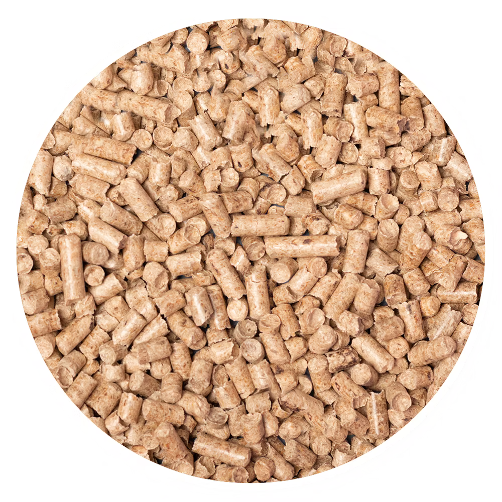 Alimento para cerdo Ke Bueno Lechones (25 Kg)